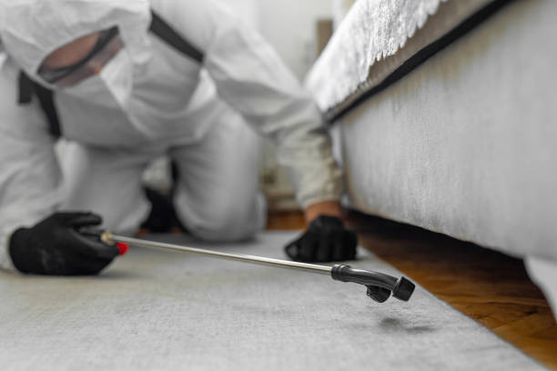 Professional Pest Control technician working in Hamilton County County, NE